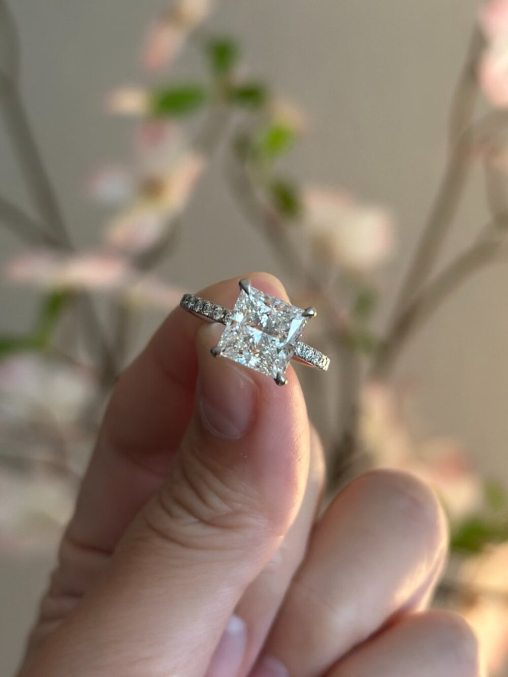 Princess Cut 3.33 Carat Diamond Ring with Pave Setting on Platinum - Picture 7 of 14